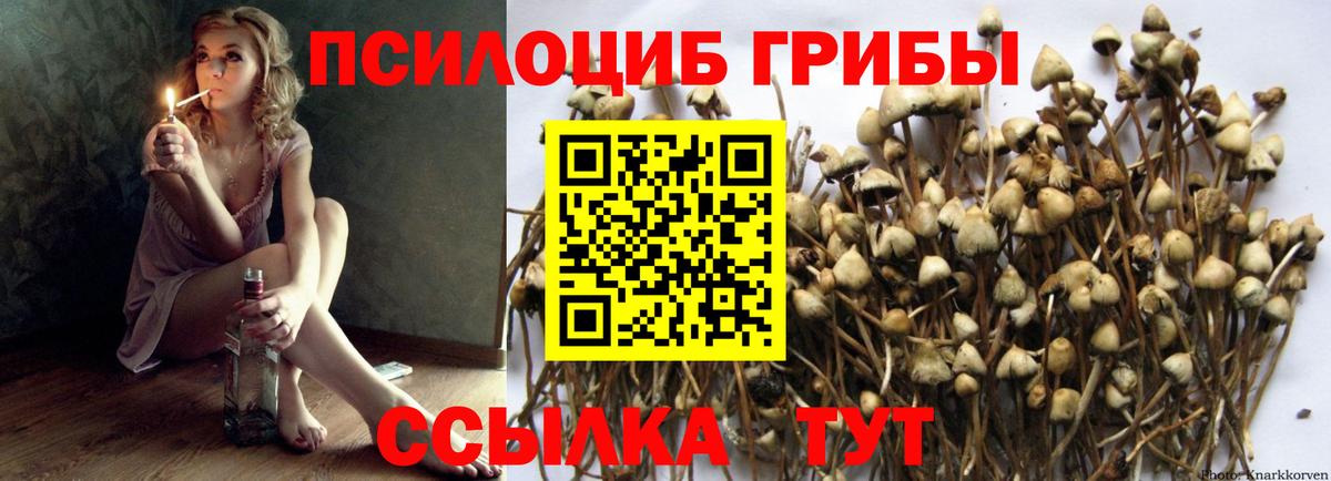 Качканар  Галлюциногенные грибы прущие грибы  Вход с VPN 
